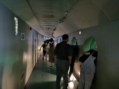 -白鹤梁水下博物馆