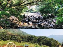 -广州市石门国家森林公园