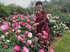 -人民公园(罗湖区)