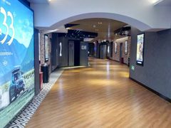 -SFC上影百联影城(大上海4DX店)