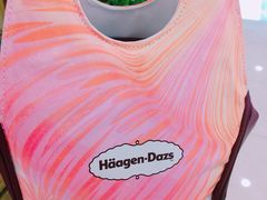 -哈根达斯(武汉天地店)