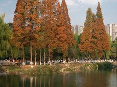 -温江公园