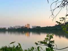 -鹤之洲湿地公园
