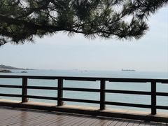 -八大关景区