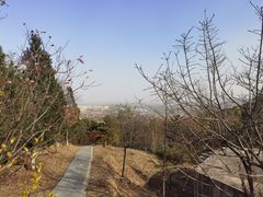 -北京鹫峰国家森林公园