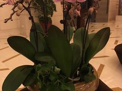 -无锡君来洲际酒店