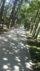 -花师傅