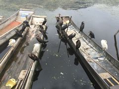 iphone_upload_pic-大理洱源西湖景区