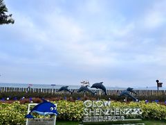 -大梅沙海滨公园