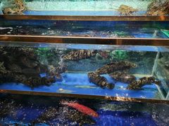 -小贝壳酒楼(经九路店)