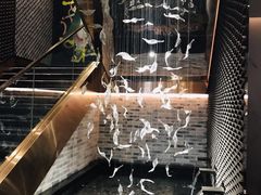 -大鸽饭(体育西路店)
