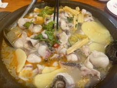 -大鼎石锅鱼(春江里店)