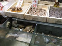 -珠光市场(文德南路)