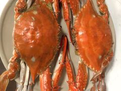 -芦潮港集贸市场