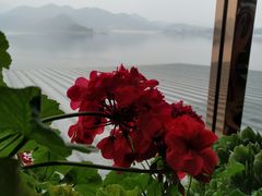 -望湖烤鱼