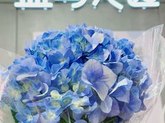 -盒马鲜生(岭南新世界店)