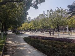 -武汉知音号