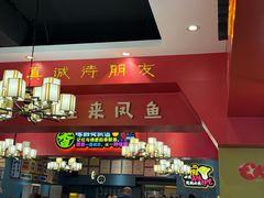 -新概念来凤鱼(璧山店)