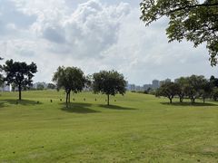 -九里湖国家湿地公园