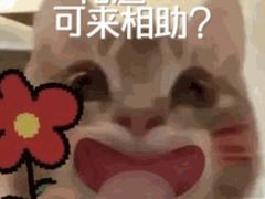 -海底捞火锅(金地广场生日主题店)