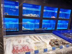 水产区-金时代顺风大酒店(临港百联店)