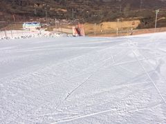 -骏途旅游