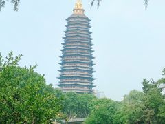 -红梅公园