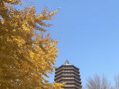 -玲珑塔公园