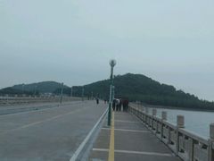 -野狸岛