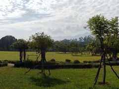 -福建鲤鱼洲酒店