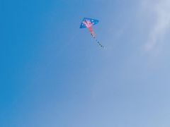 -南通洲际绿博园