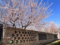 -三里河公园