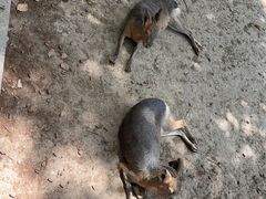 -苏州太湖西山岛开心农场
