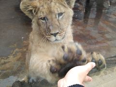 -西安秦岭野生动物园