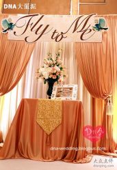 -DNA Wedding 婚礼记(上海店)