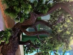 -木子塘汗蒸生活馆(财富港店)