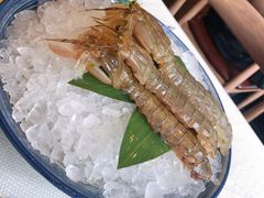 -渔娘渔家丹东海鲜(东直门店)