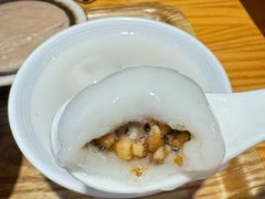 -海丝金凤(金鱼店)