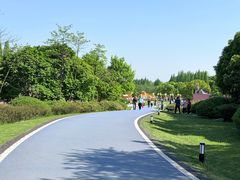 -宜兴龙背山森林公园