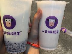 -一只酸奶牛(奎星楼店)