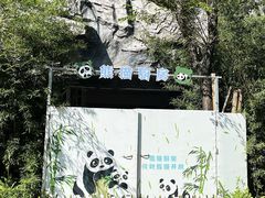 -柳州市动物园