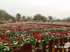 -盈香心动乐园