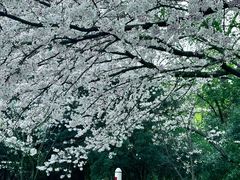 -杭州少年儿童公园