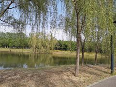 -东郊湿地公园