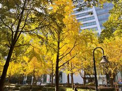 -上海不夜城广场(上海不夜城金融大厦店)