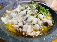 -大鼎石锅鱼(春江里店)