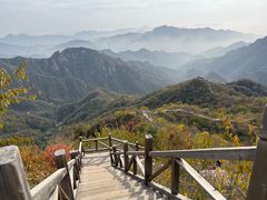 -大岭沟猕猴桃谷风景区