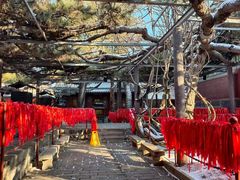 -红螺寺