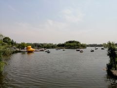 -杭州湾海上花田景区