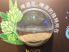 -百威中国啤酒博物馆